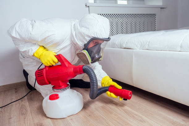 Professional Pest Control in Melbourne, AR