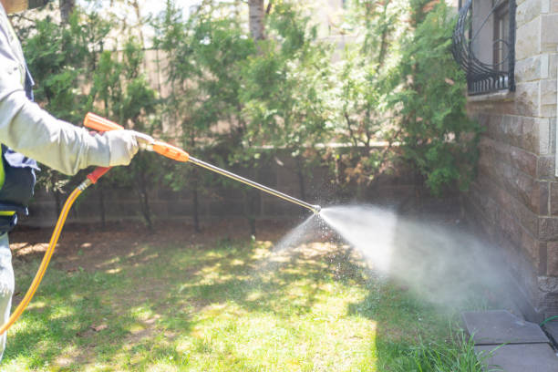 Best Local Pest Control Services  in Melbourne, AR